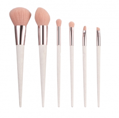 Plastic handle Makeup Brushes  PK6